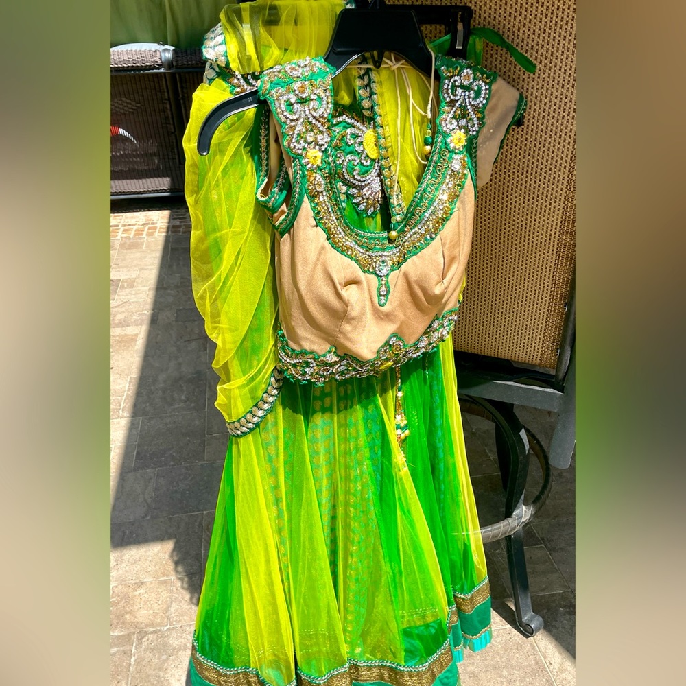 Beautiful custom costume